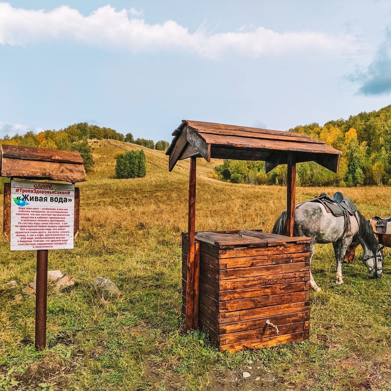 Усадьба Сокол - фото 91