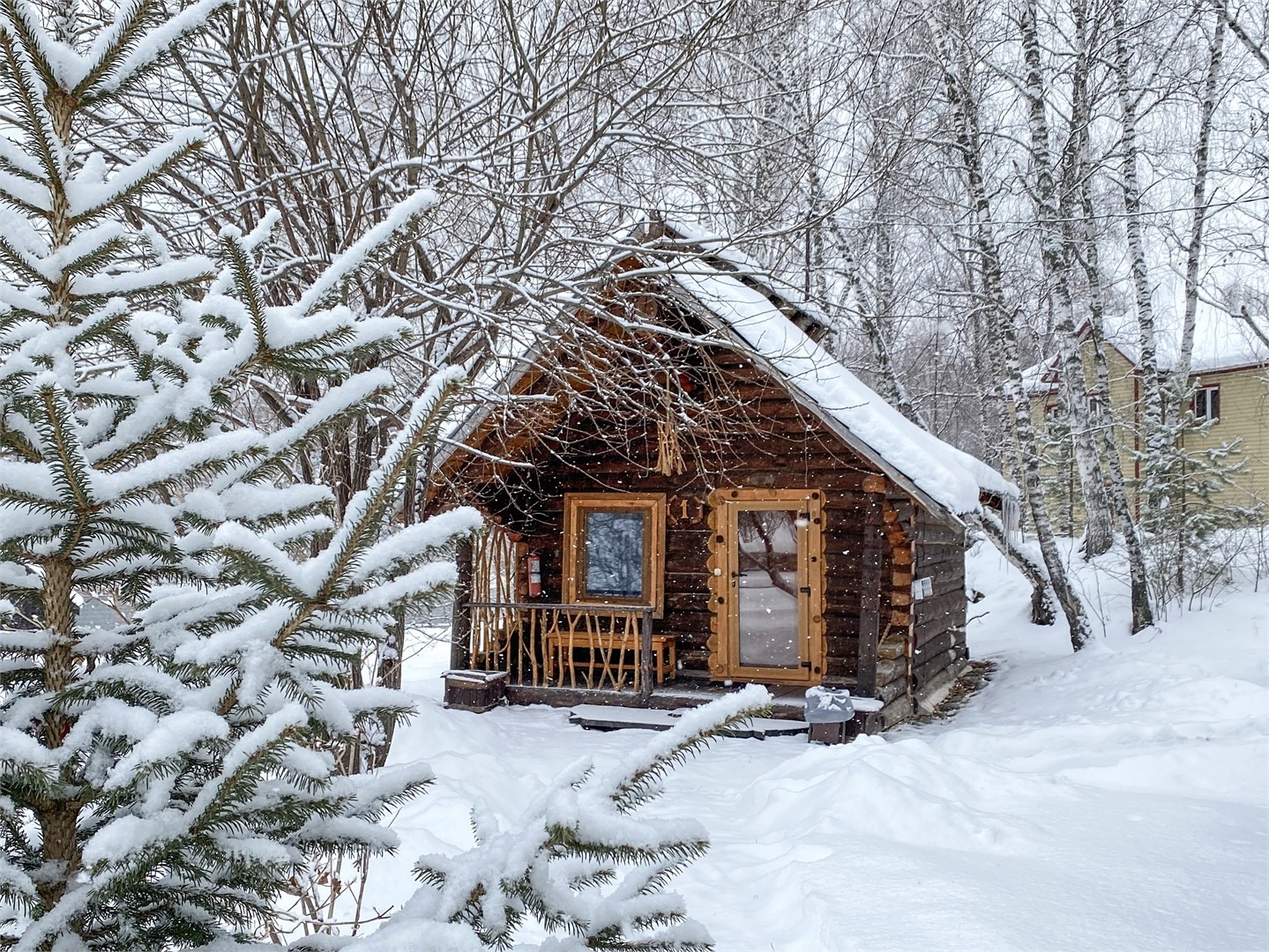 Сосновый дом 1. Изба травника. - фото 1