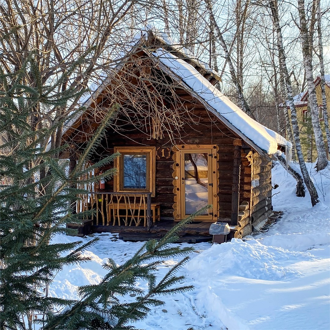 Сосновый дом 1. Изба травника. - фото 3