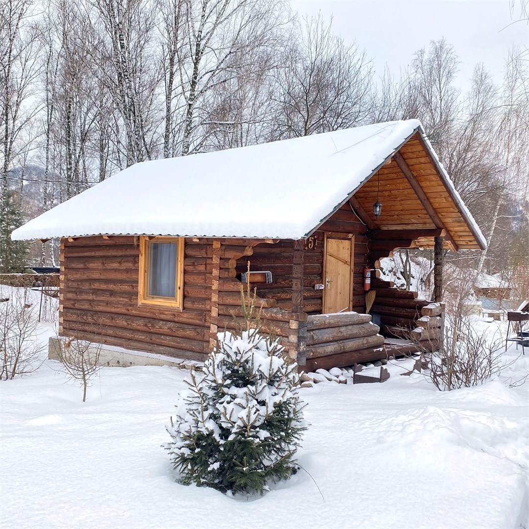 Сосновый дом 5. Хижина скифа. - фото 1