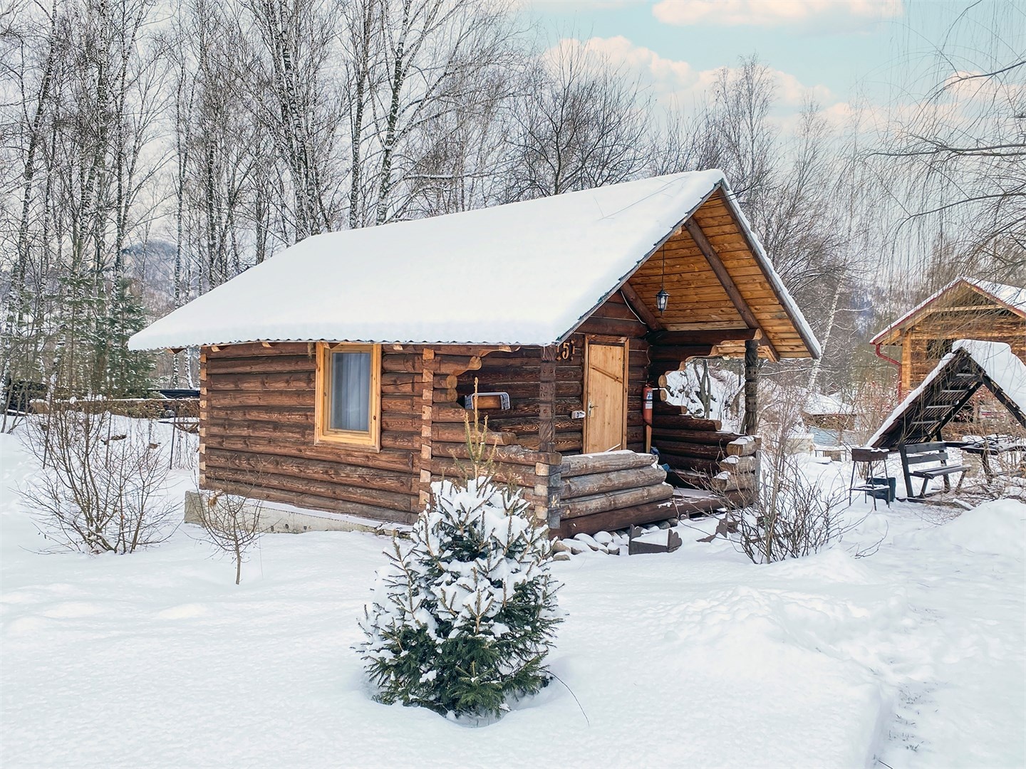 Сосновый дом 5. Хижина скифа. - фото 2