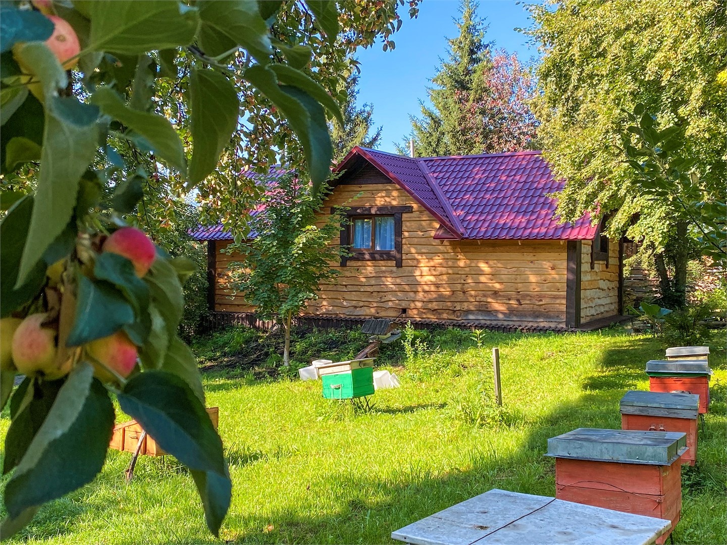 Пчёлки, 3 - фото 2