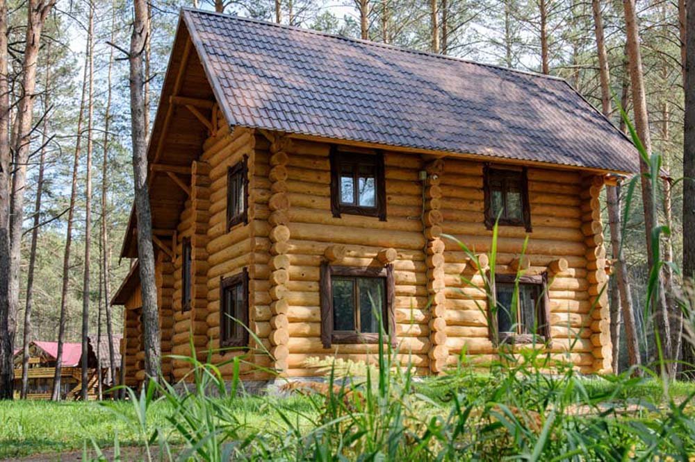 Деревня Берендеевка - фото 15