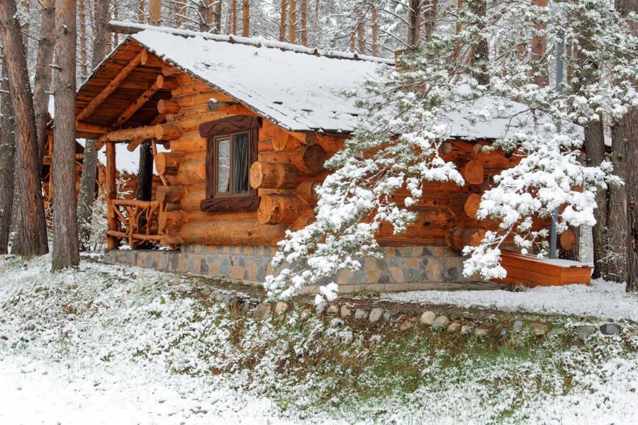 Деревня Берендеевка - фото 32