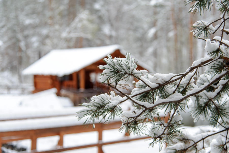 Деревня Берендеевка - фото 39