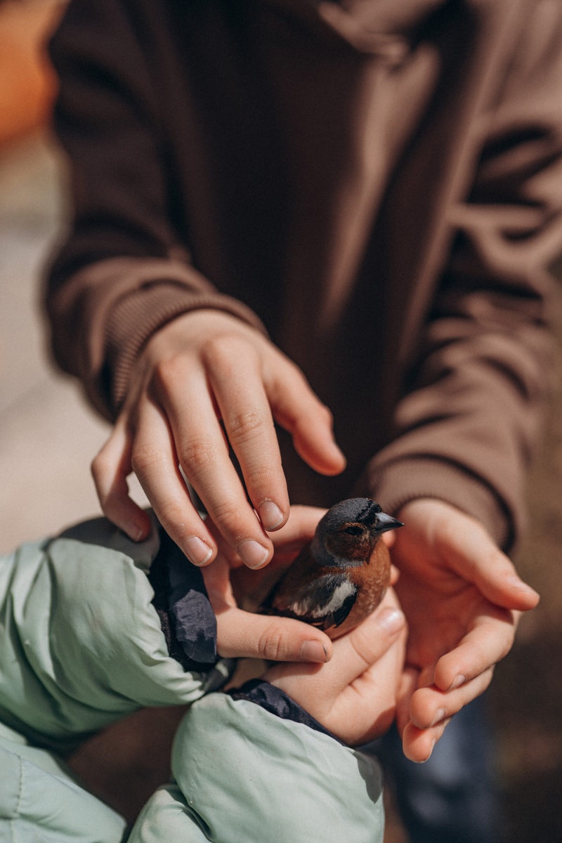 Деревня Берендеевка - фото 67