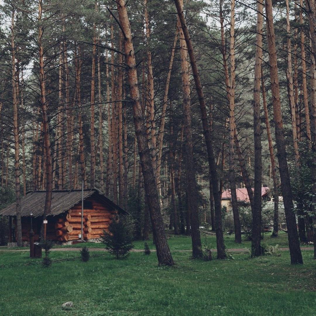 Деревня Берендеевка - фото 71