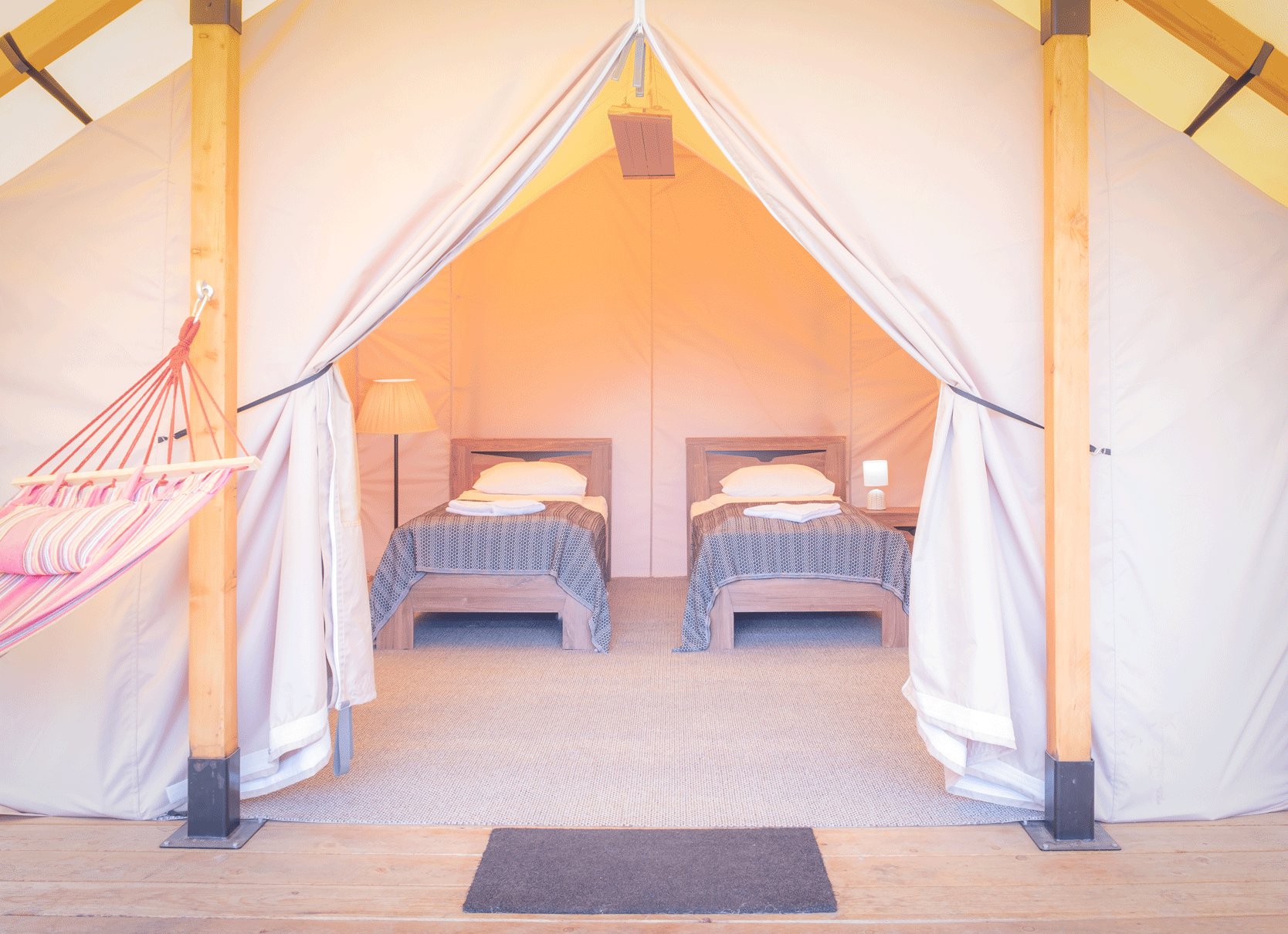 Ковчег - фото 24