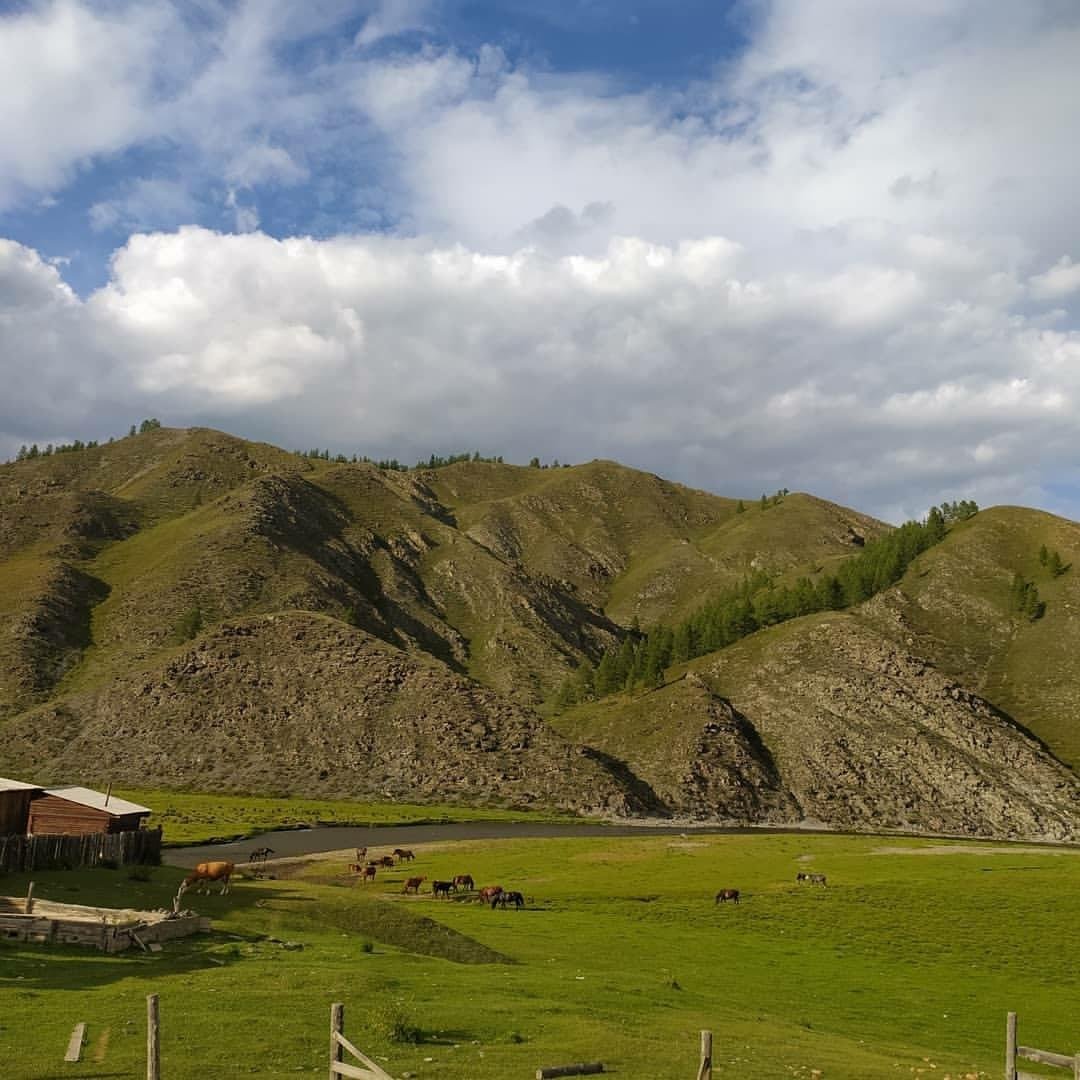 Ковчег - фото 27