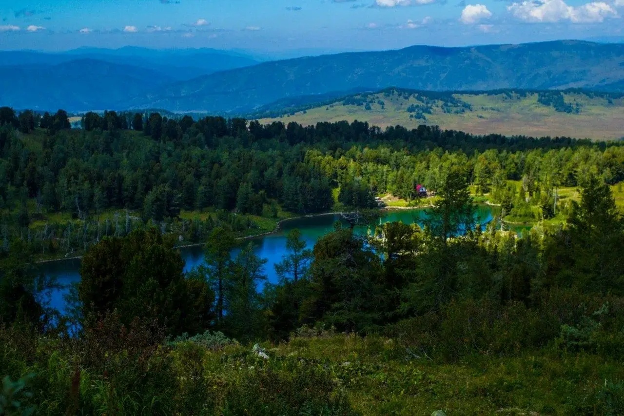 Ковчег - фото 47