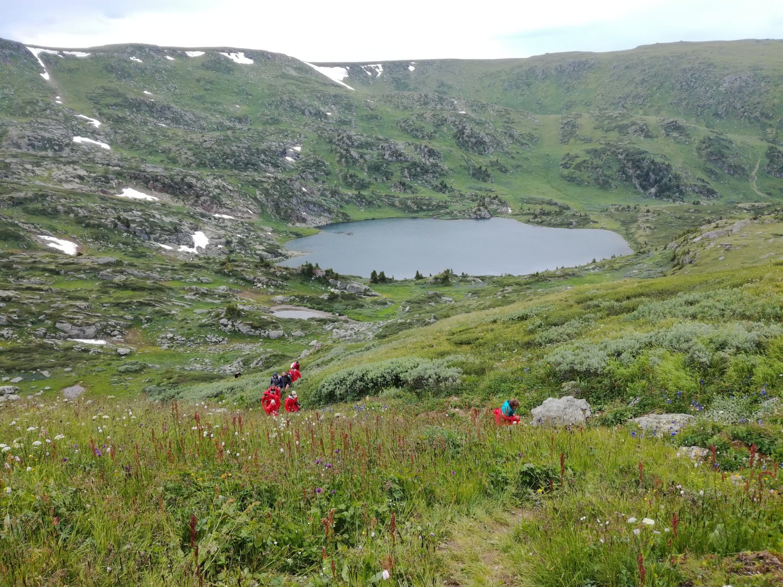 Ковчег - фото 49