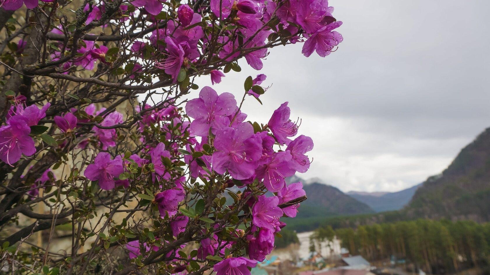 Ковчег - фото 62