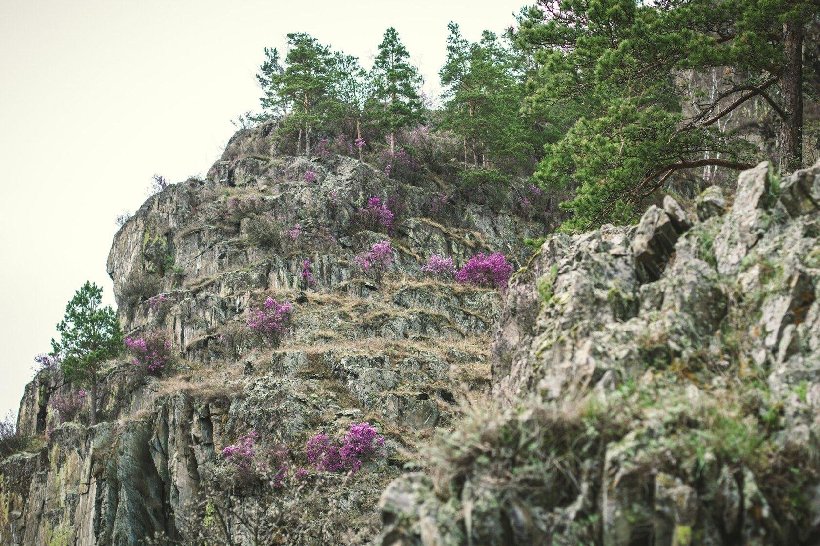 Ковчег - фото 70