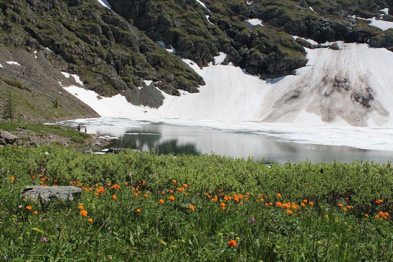 Ковчег - фото 71