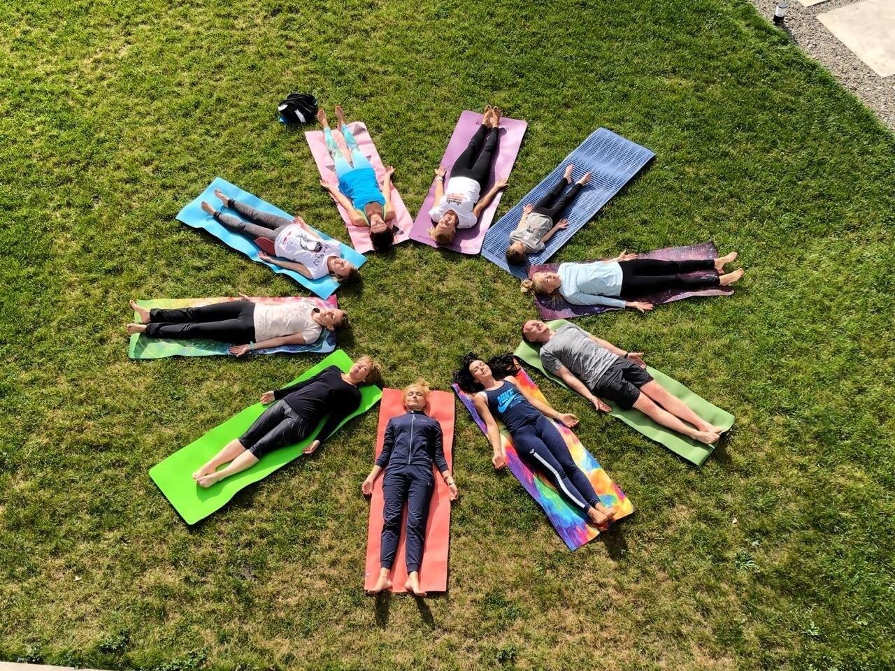 Ковчег - фото 74