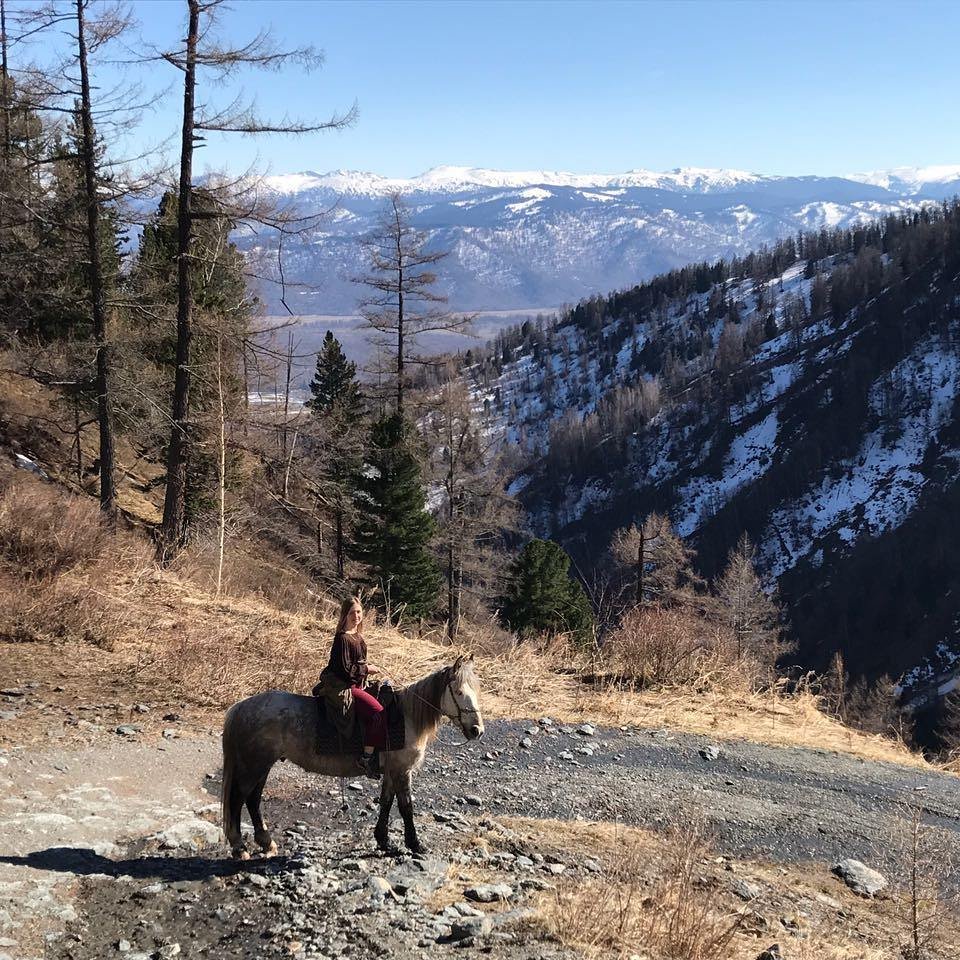 Ковчег - фото 82