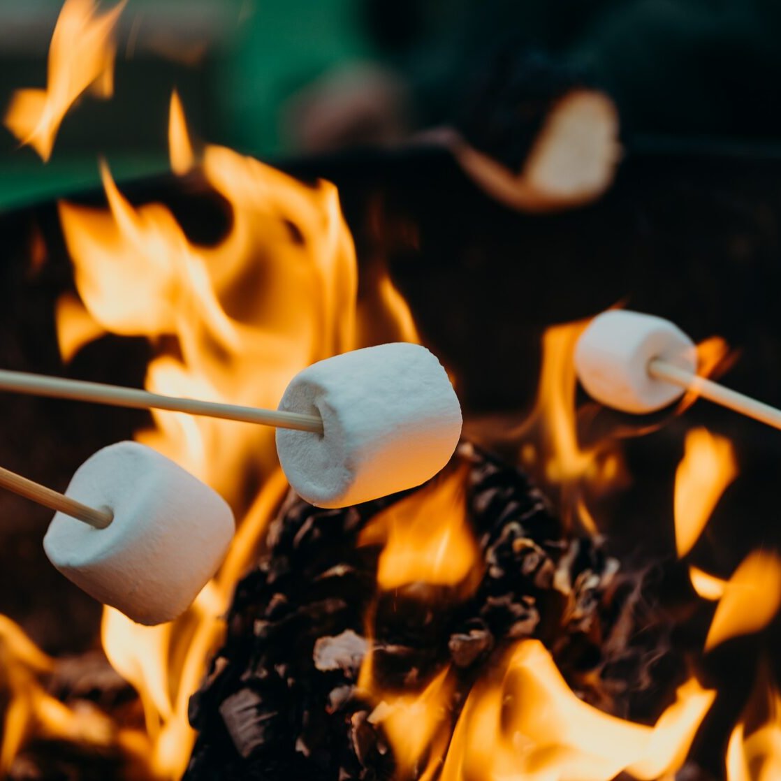 Ковчег - фото 94