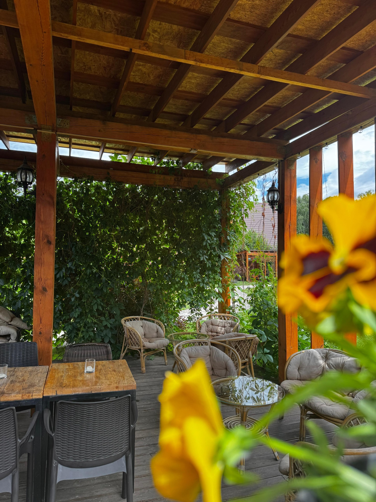 Ковчег - фото 97