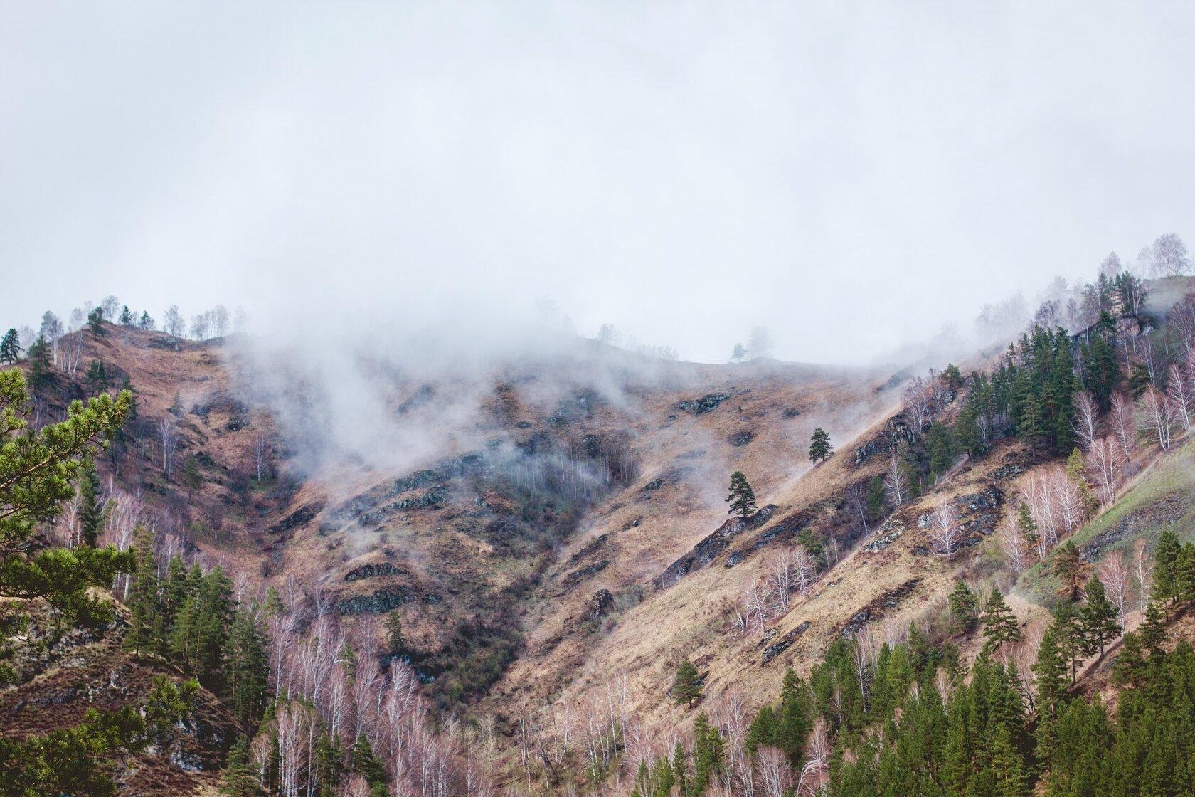 Ковчег - фото 105