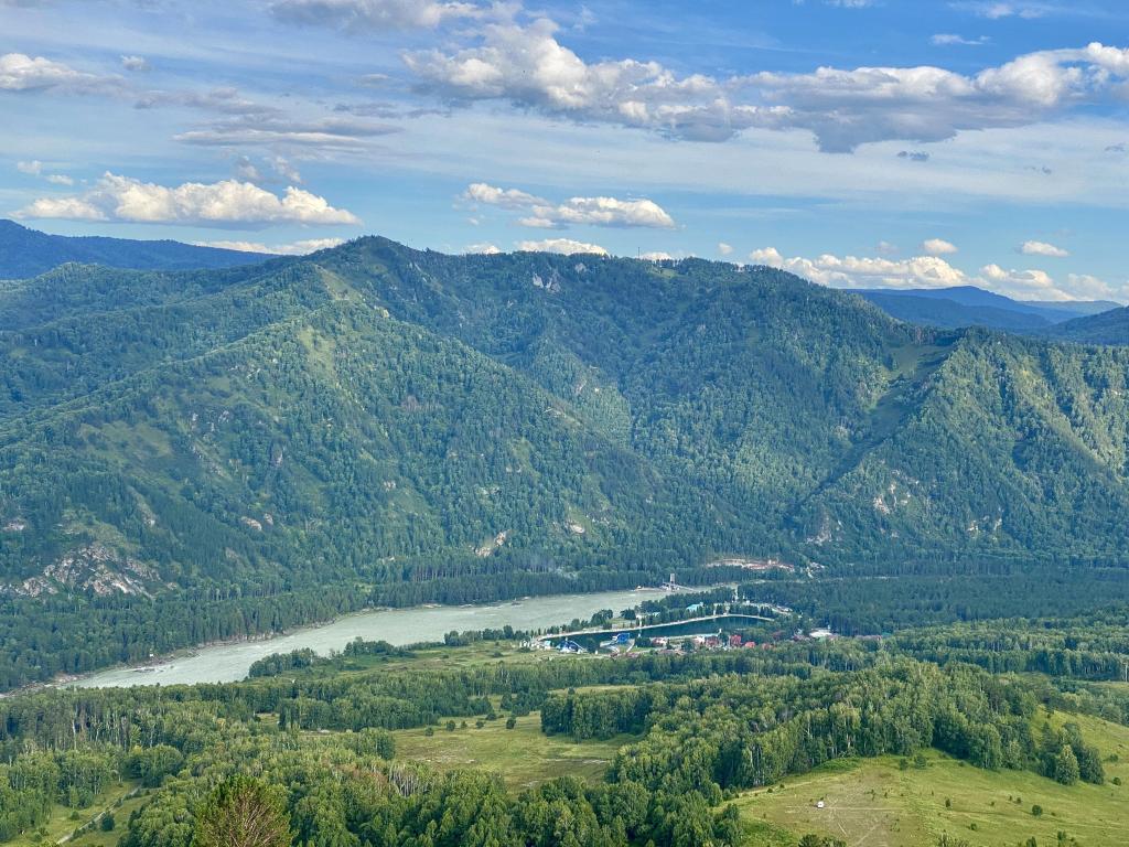 Малина - фото 5