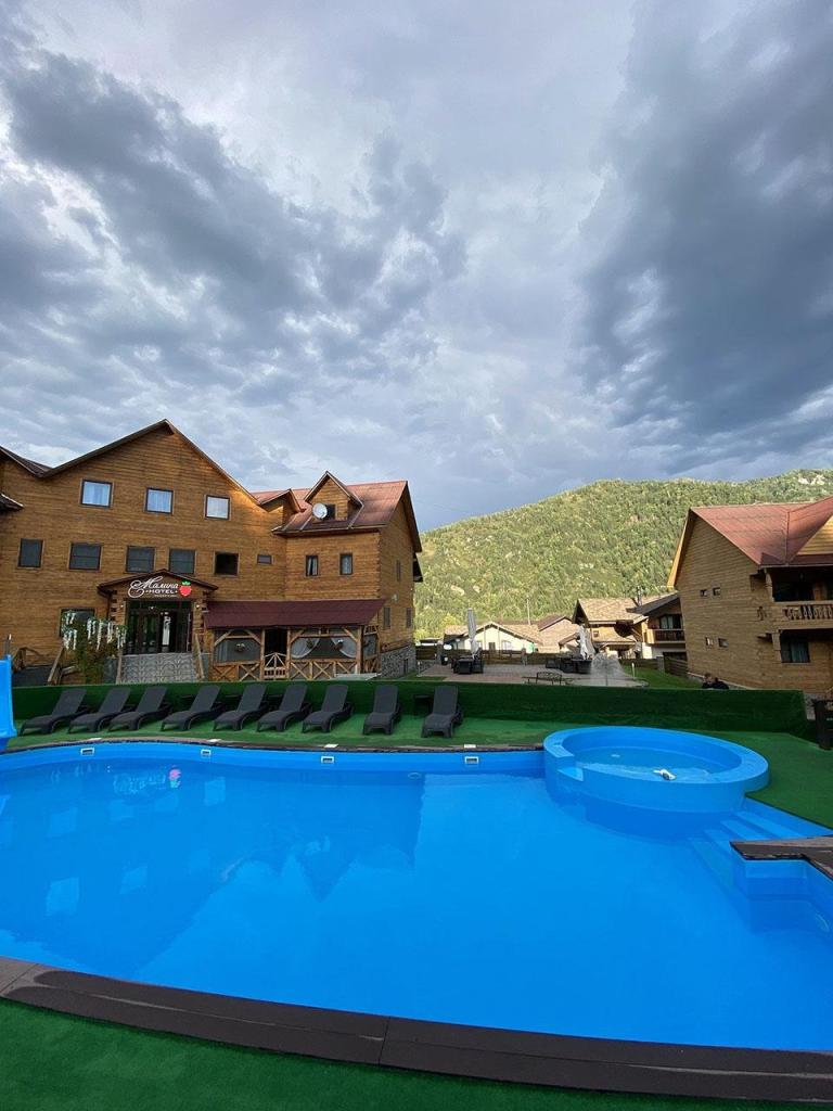 Малина - фото 6