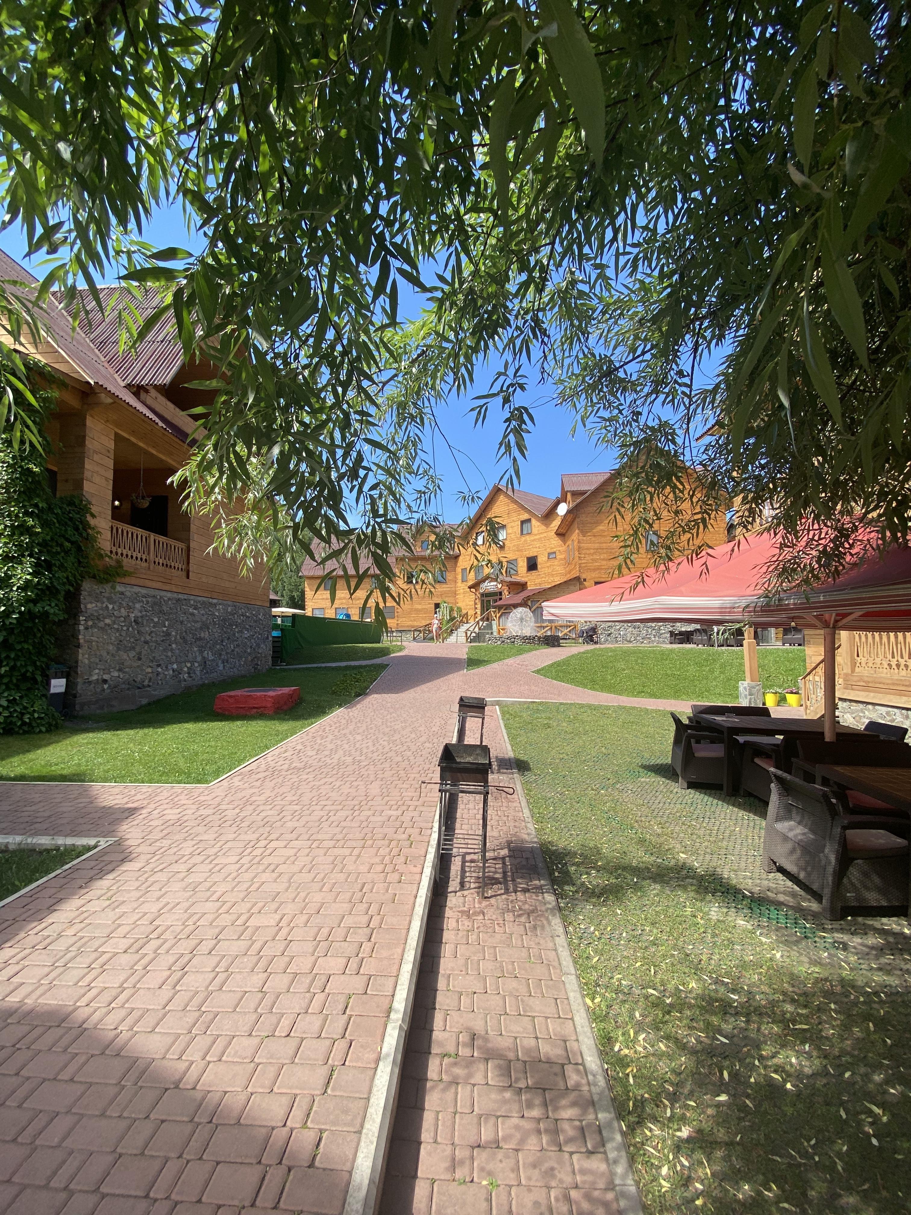 Малина - фото 48