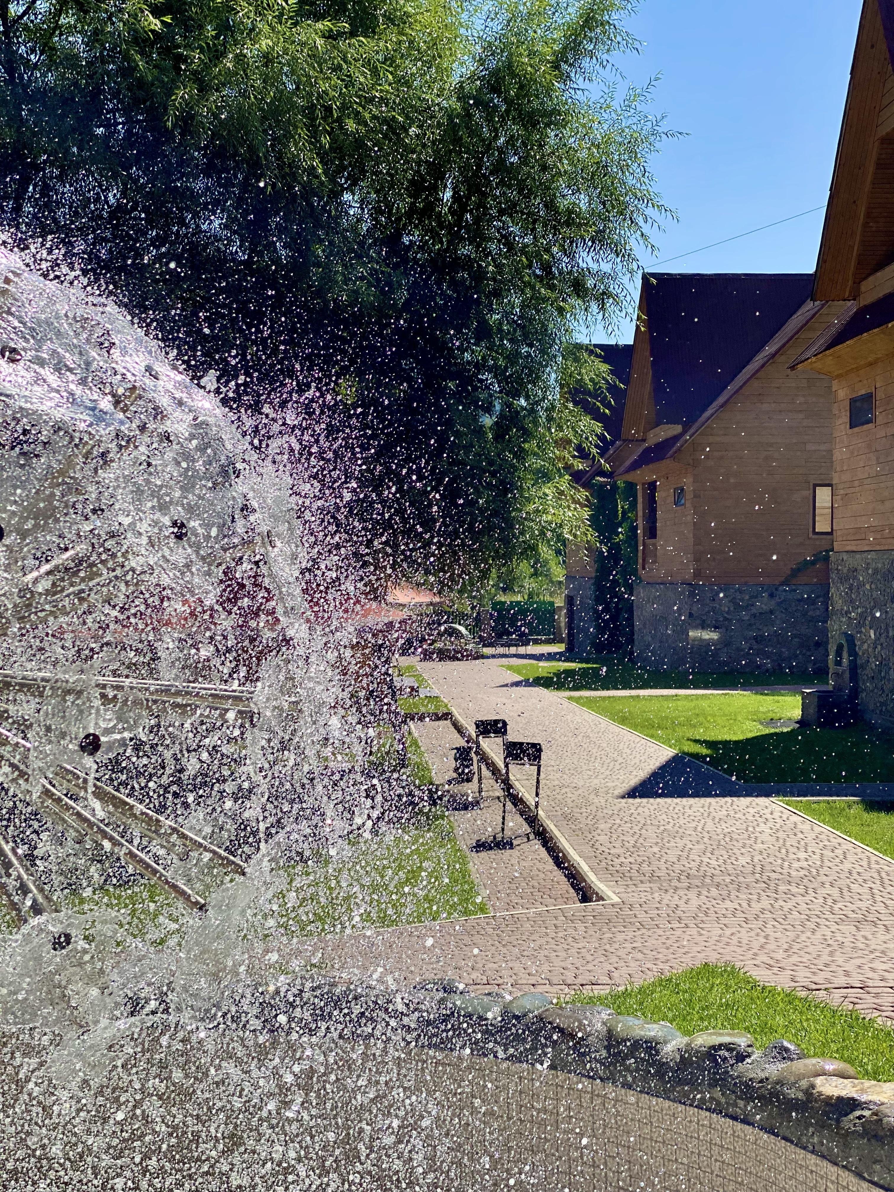 Малина - фото 51