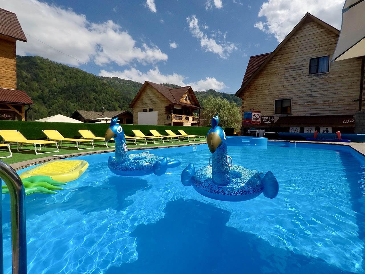 Малина - фото 52