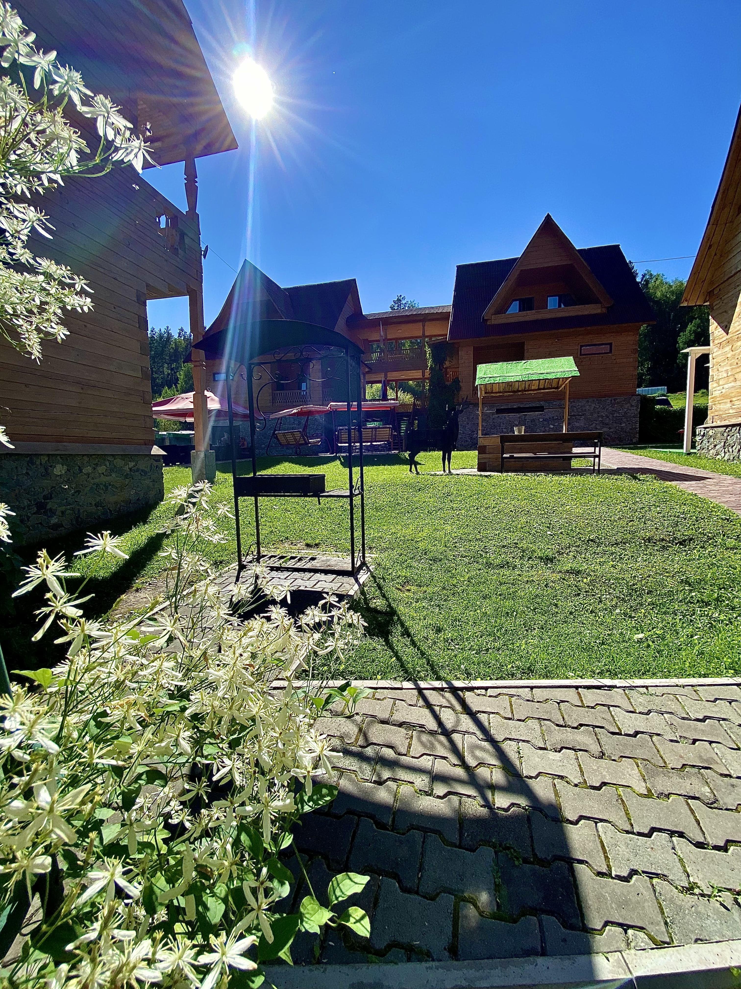 Малина - фото 54