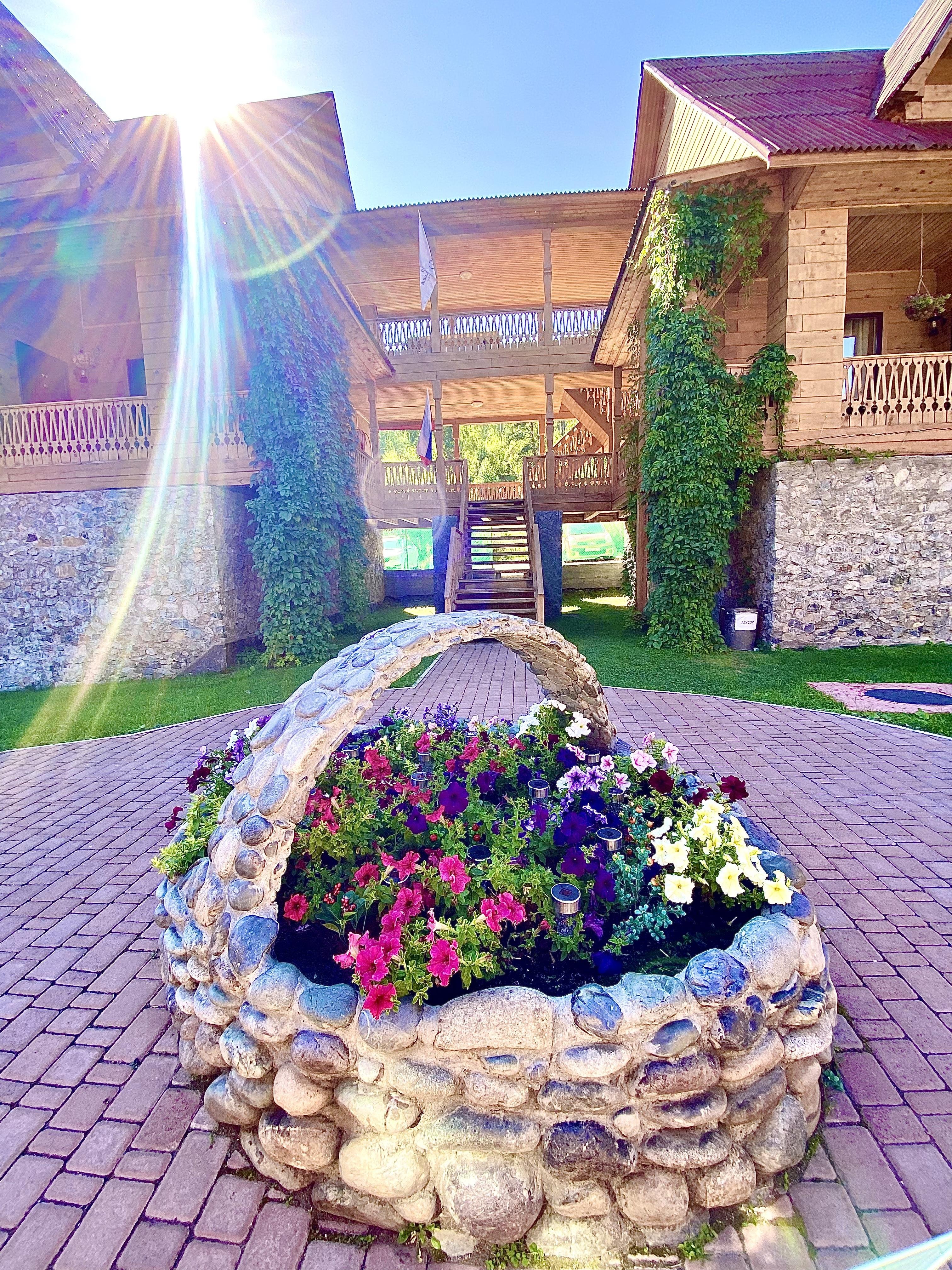 Малина - фото 55