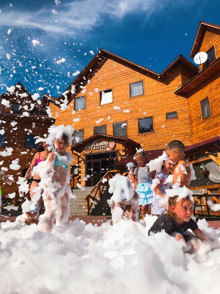 Малина - фото 57