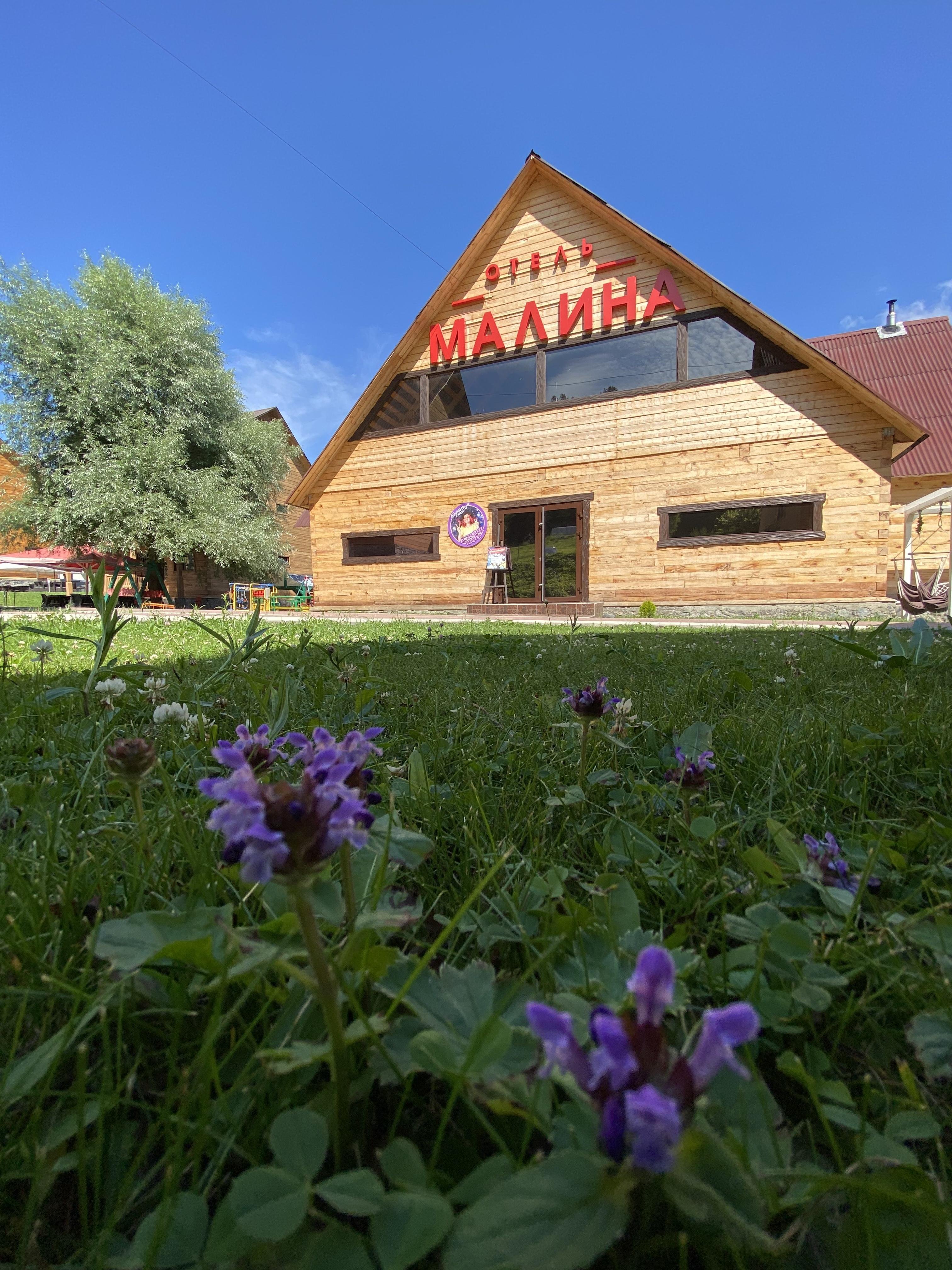 Малина - фото 58