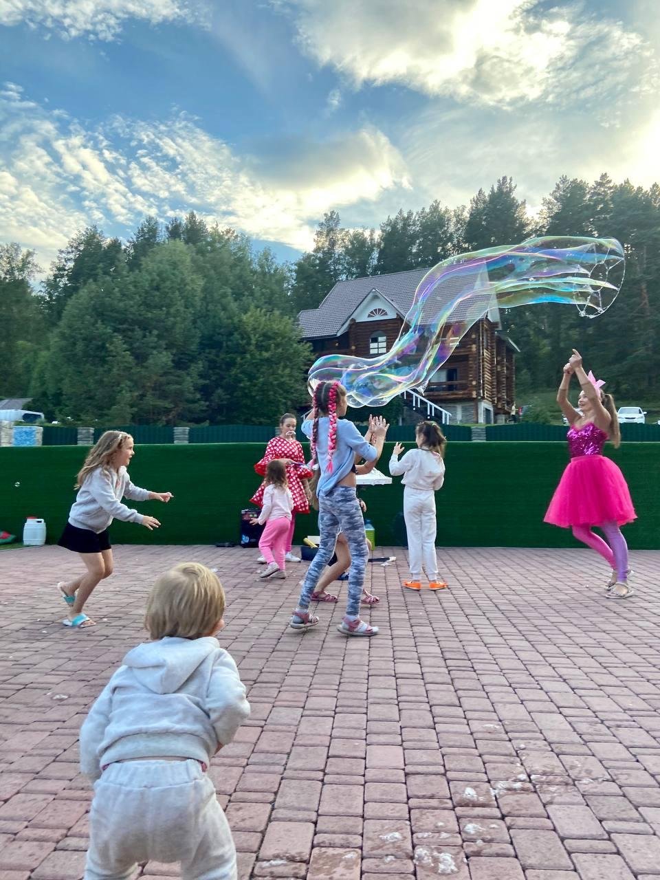 Малина - фото 69