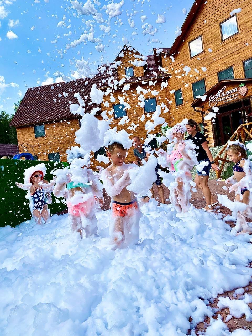 Малина - фото 70