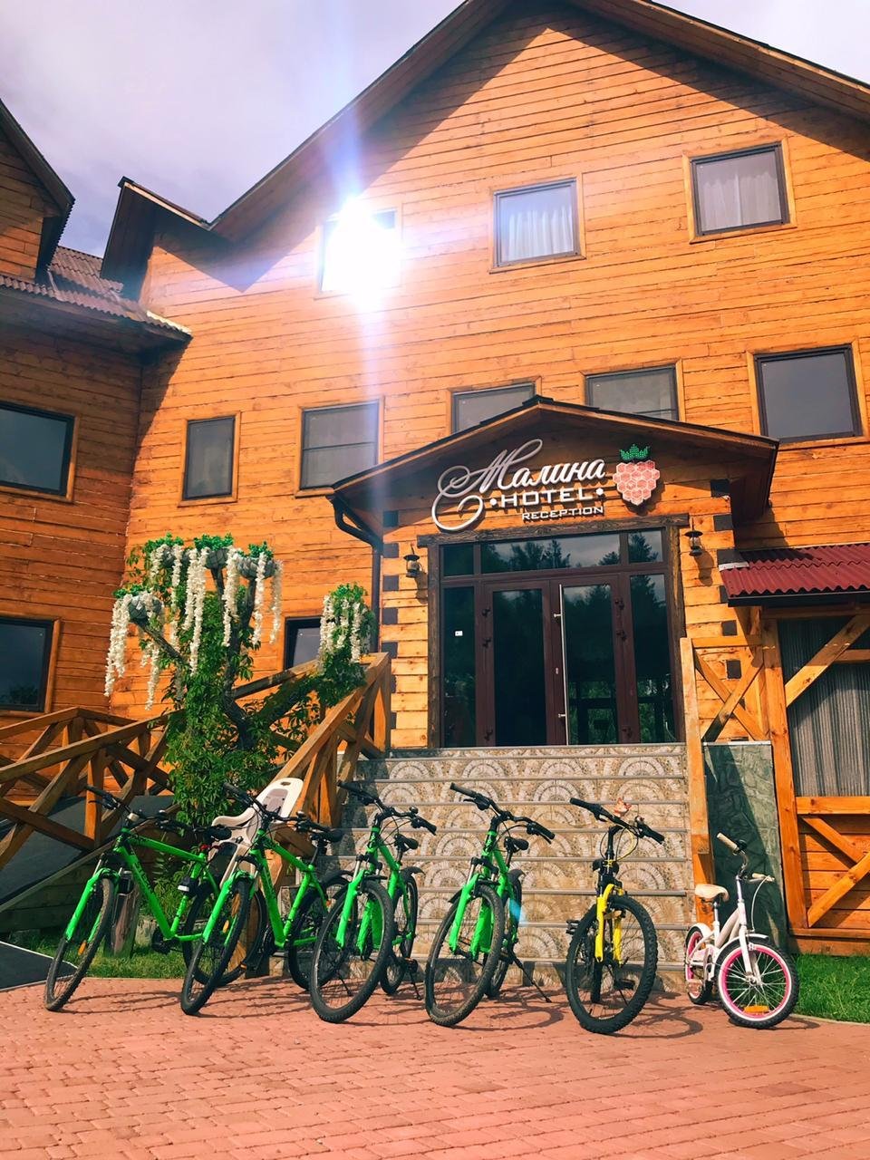 Малина - фото 71