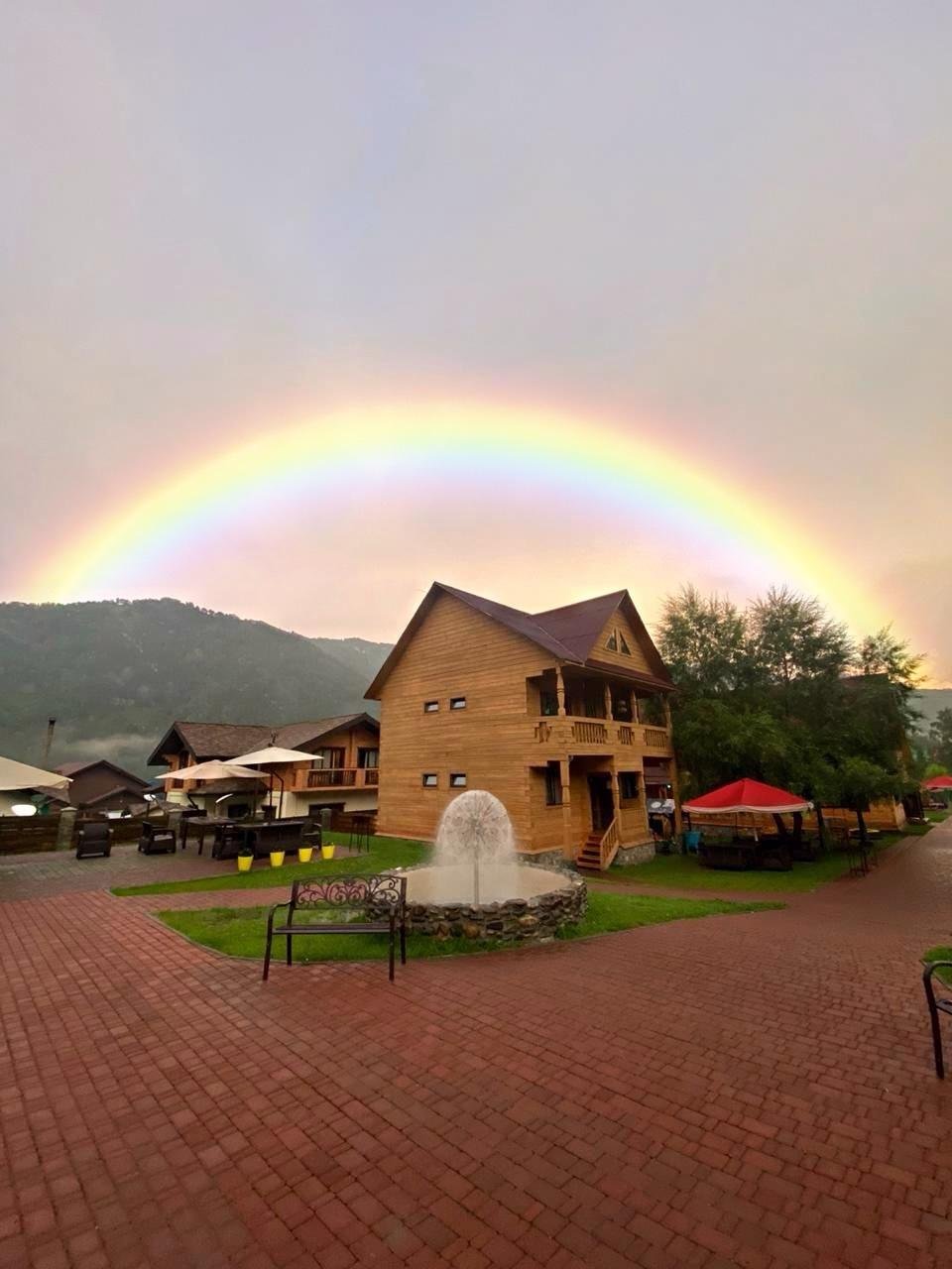 Малина - фото 74