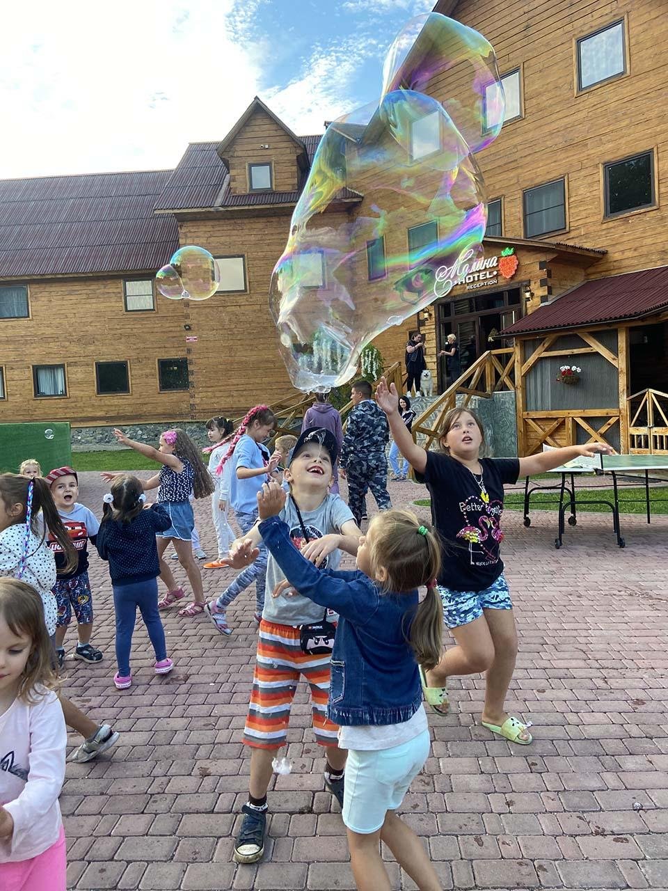 Малина - фото 75