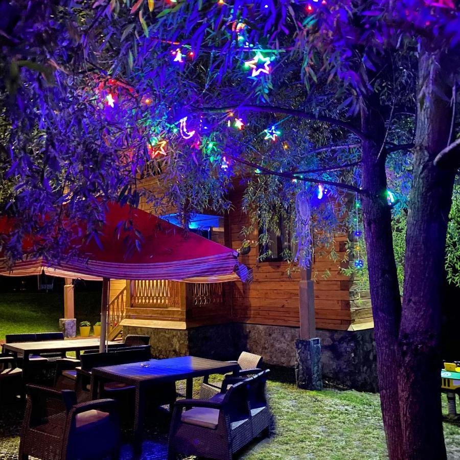 Малина - фото 79