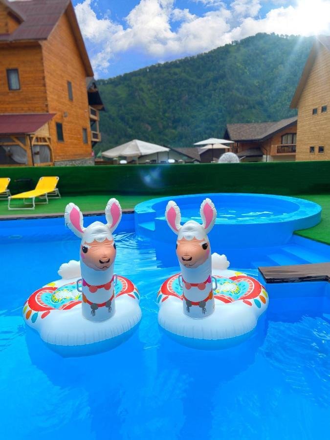 Малина - фото 82