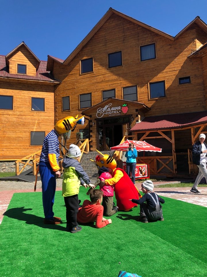 Малина - фото 87