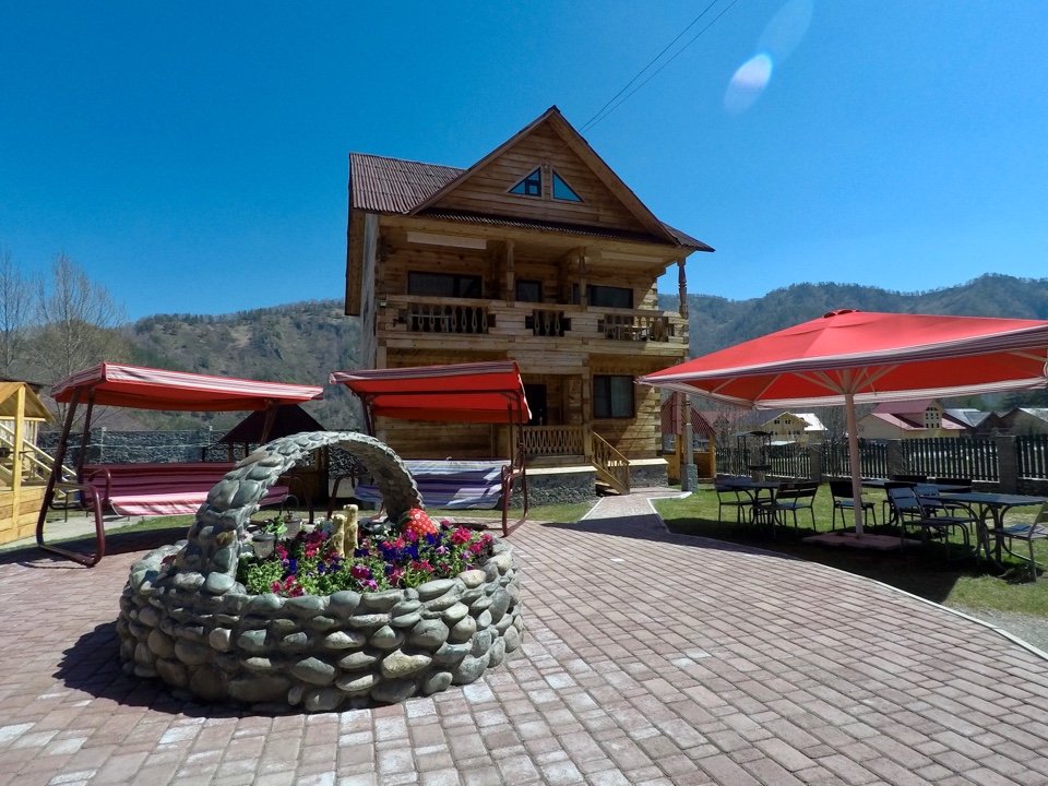 Малина - фото 95