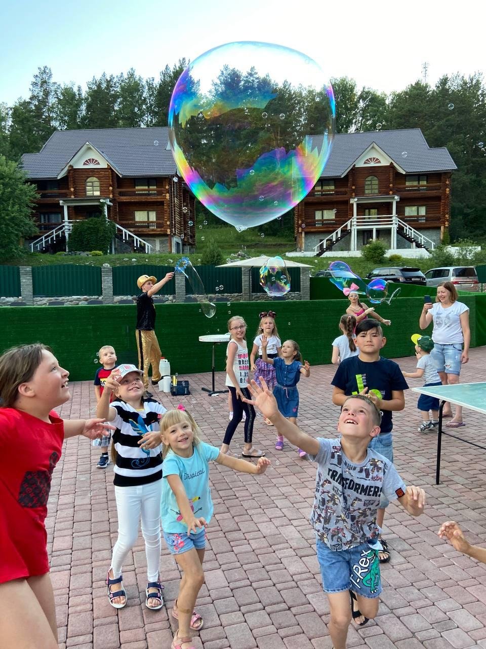 Малина - фото 97