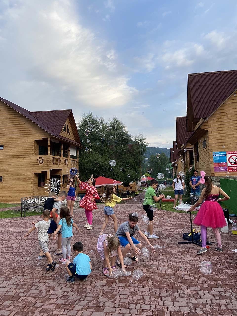 Малина - фото 109