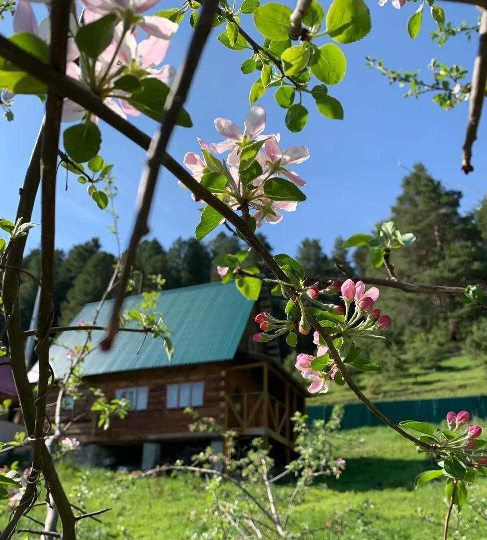 Апартаменты на Телецкая улица, 91 - фото 49