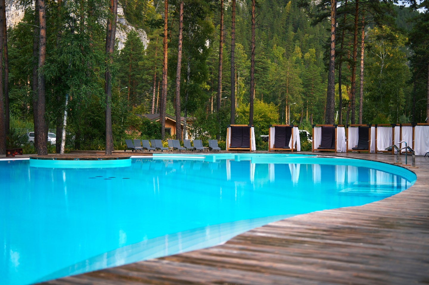 Натура - фото 29