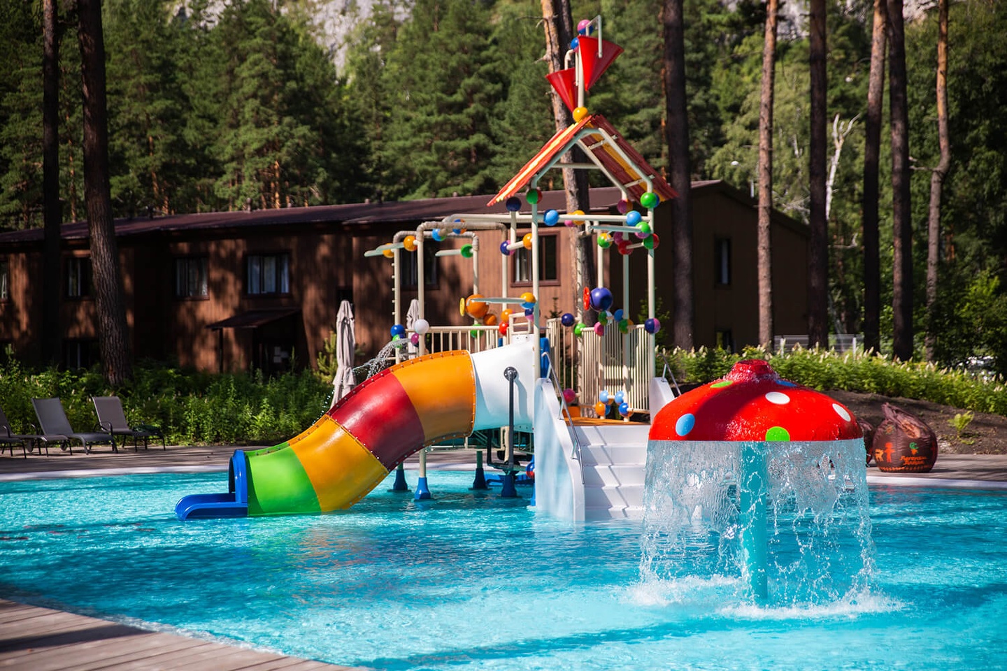 Натура - фото 37