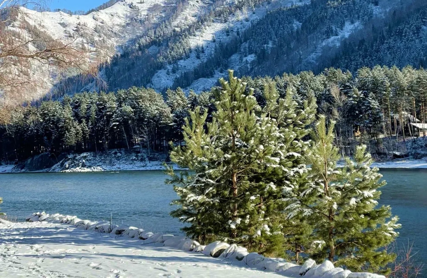 Натура - фото 46