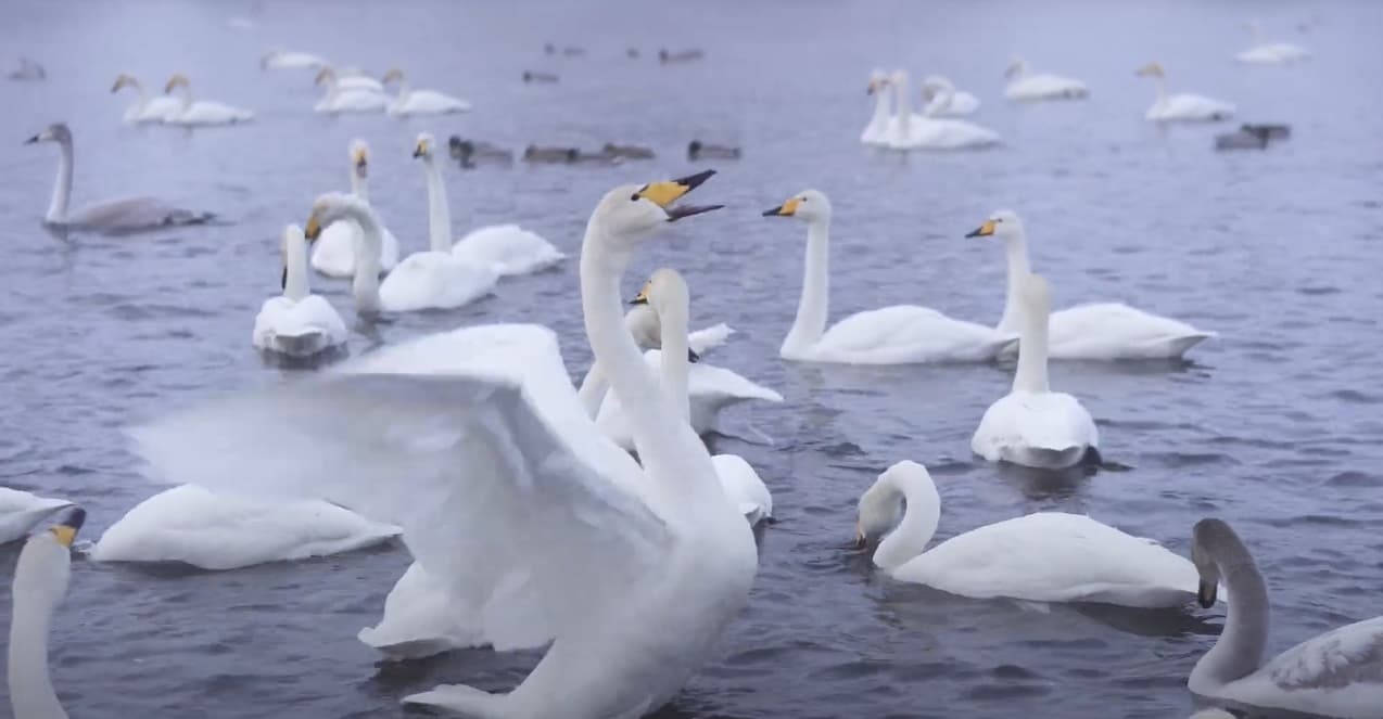 Натура - фото 94