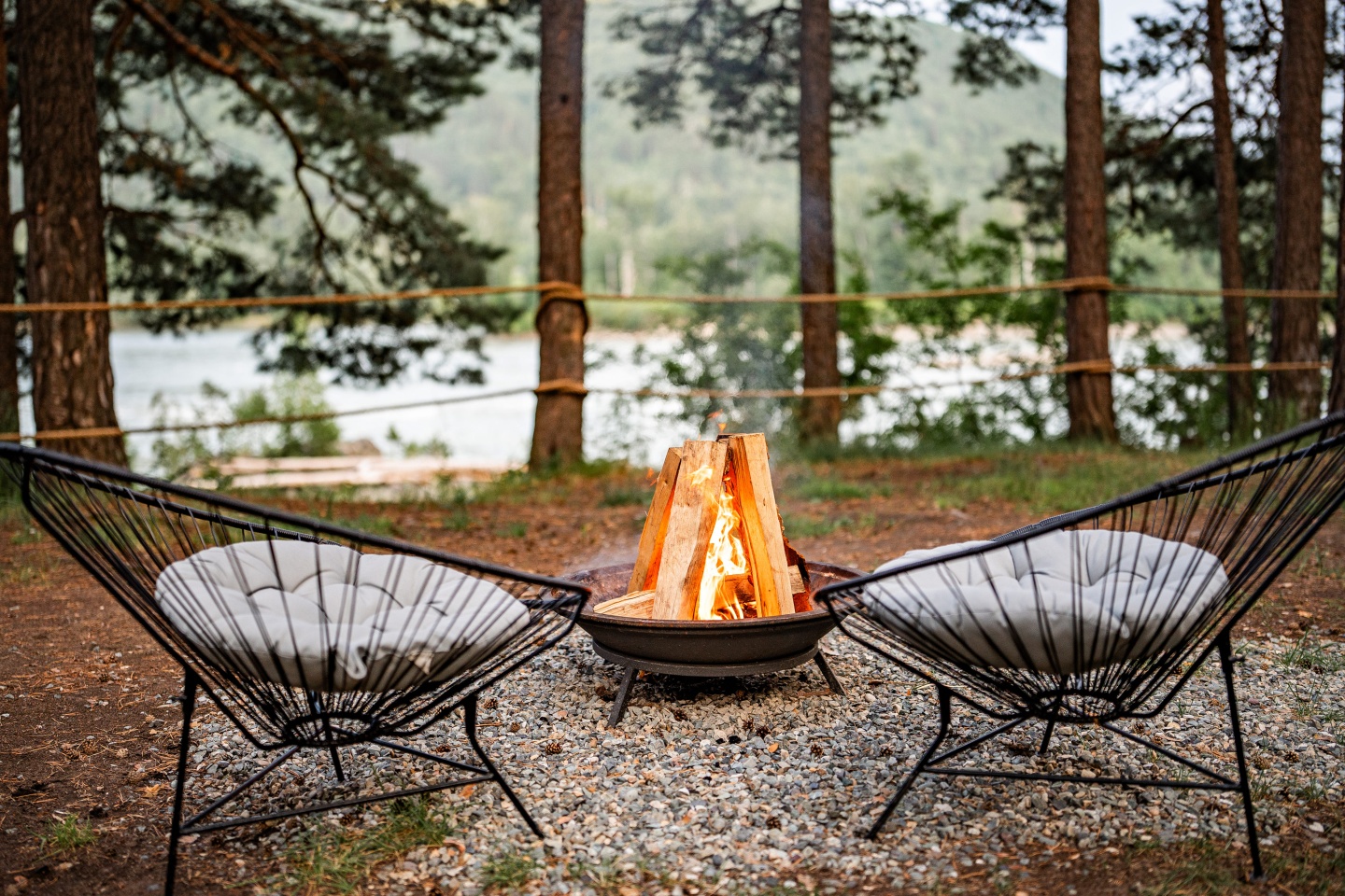 Натура - фото 98