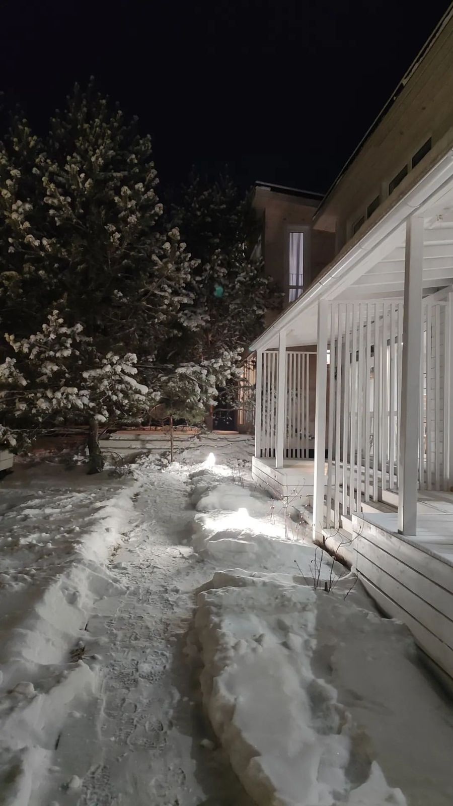 Алтай Пробуждение - фото 31